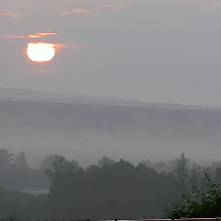 El Cauce * San Medel