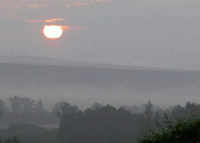 El Cauce * San Medel